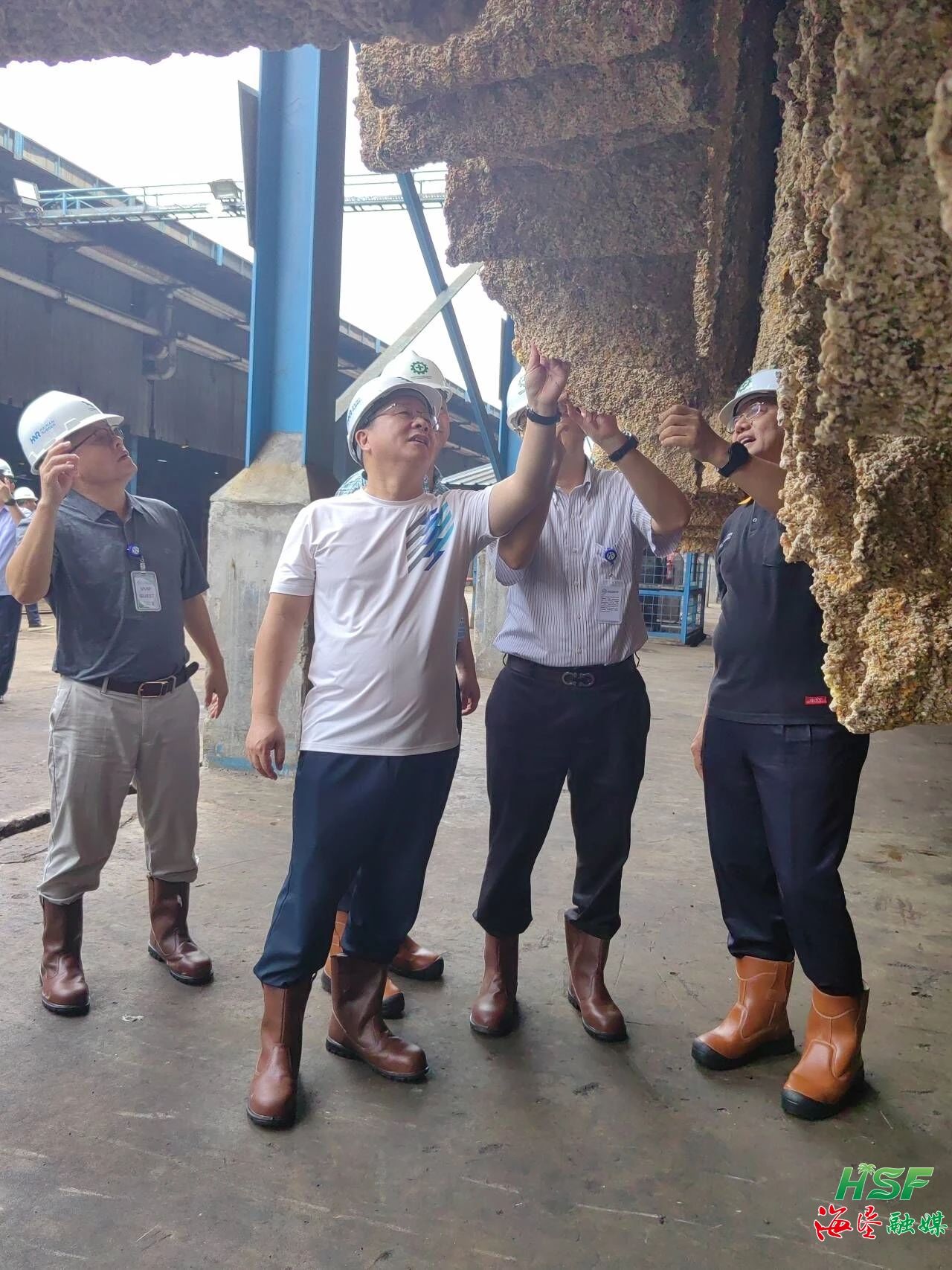 包洪文一行調(diào)研合盛農(nóng)業(yè)SGO加工廠。